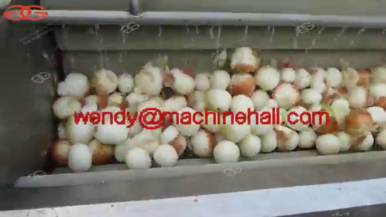 fruit and vegetable washer machineonion skin removeronion peeling