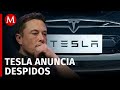 Tesla prepara recorte de ms del 10 de su plantilla se perdern 15 mil empleos