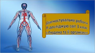 Діагностувальна робота з ЯДС 3 клас ІІ семестр. "Людина та її організм".