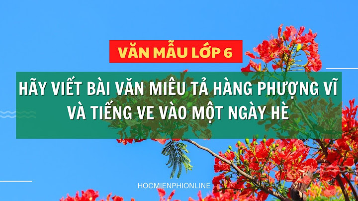 Bài văn tả cây phượng lớp 6 ngàn