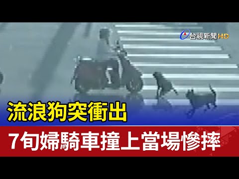流浪狗突衝出 7旬婦騎車撞上當場慘摔