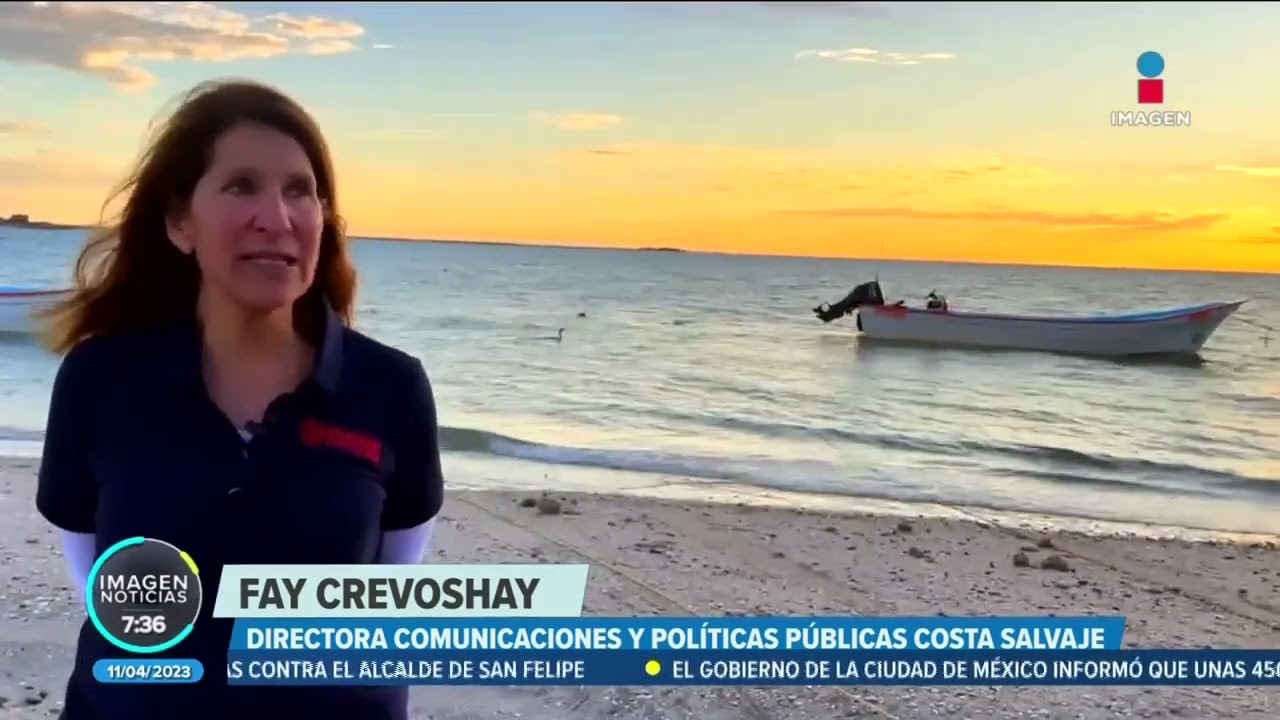 Laguna San Ignacio, Baja California Sur, el paraíso de la ballena gris | Noticias con Francisco Zea