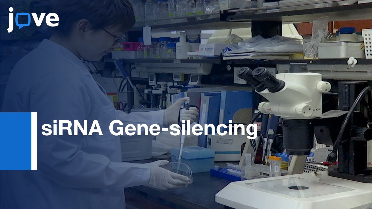 Nanoparticle-mediated siRNA Gene-silencing in Heart | Protocol Preview