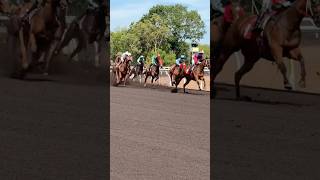 The sounds of galloping 💀