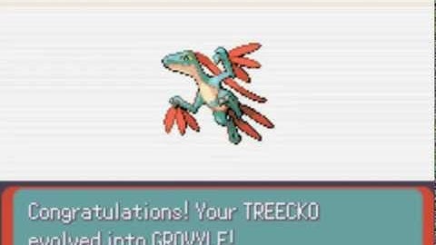 Shiny Treecko Evolving