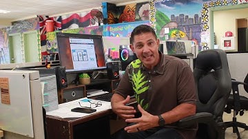 ACP Video PSA 2022 Final