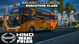 ETS2 || 27 Trans a.k.a Fulushou || Malang - Cileungsi Bogor || Executive Class (2/4) screenshot 4