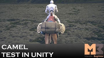Camel Unity Test