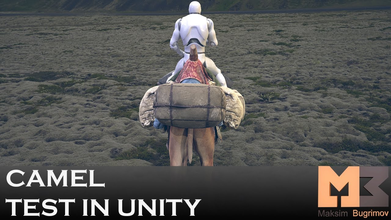 Camel Unity Test - YouTube