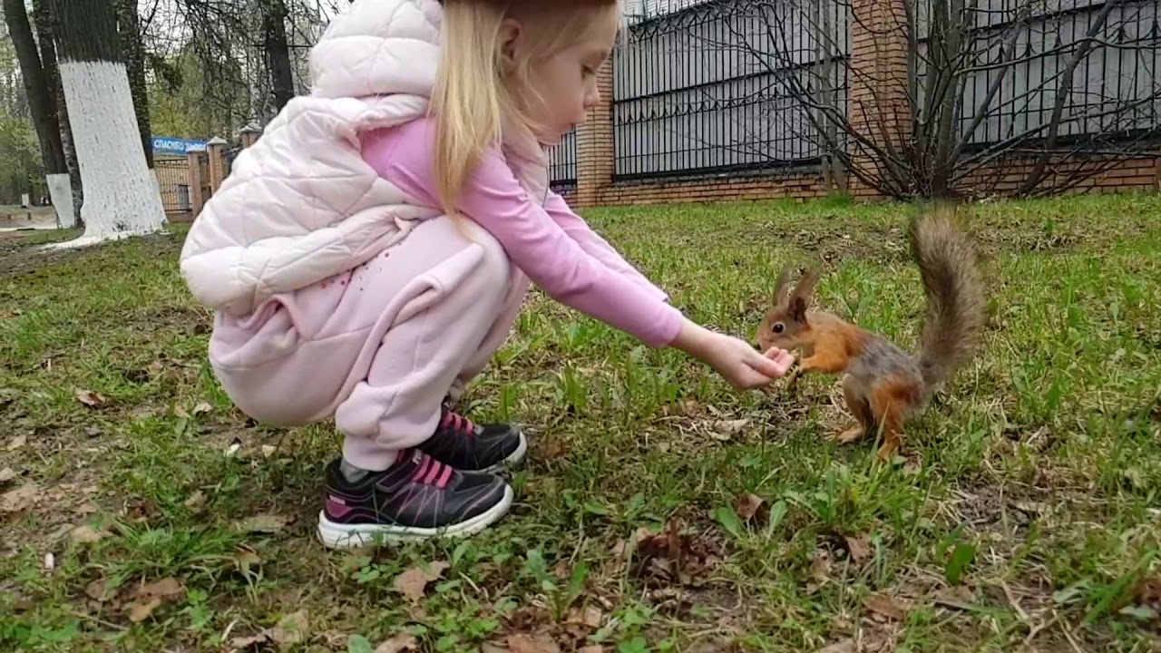 Порно Сливы Белочка Реал