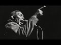 Capture de la vidéo Howlin' Wolf   Live In Chicago 1969   Full Album