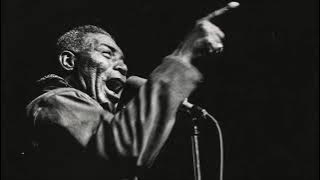 HOWLIN' WOLF   Live in Chicago 1969   Full Album