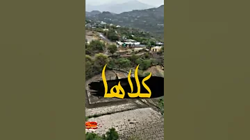شفتها والجو غايم المصمم ياسر عرفات وجيه الدين قناة قمة الابداع الفني 