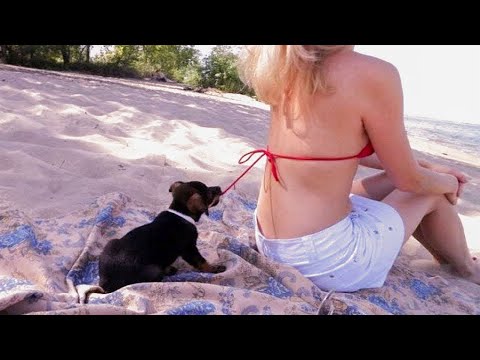 Prova a non ridere 😆 Video divertenti Compilation 2022 - Persone che fanno cose divertenti #24 thumbnail