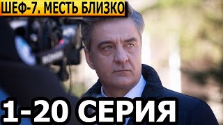 Шеф. Месть близко 7 сезон 1-20 серия - анонс и дата выхода (2024) НТВ