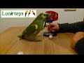 Juguete para loros interactivo:  Canasta para Loros