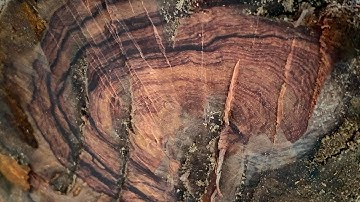 GL gốc cẩm chỉ krôngpa đặc tịt gần tinh lõi 91kg đục đẽo các kiểu ạ bác nào thiện chí lh 0338918991