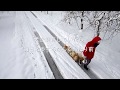 犬 散歩 意見広告　「毎日、散歩しない奴は、犬を飼うな！」※チャンネル登録お願いします。※Subscribe to the channel.