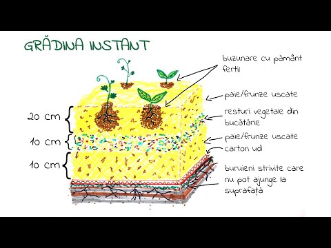 Gradina instant sau "sandvis" I Gradinarit si permacultura pentru copii - Seminte de Stiinte