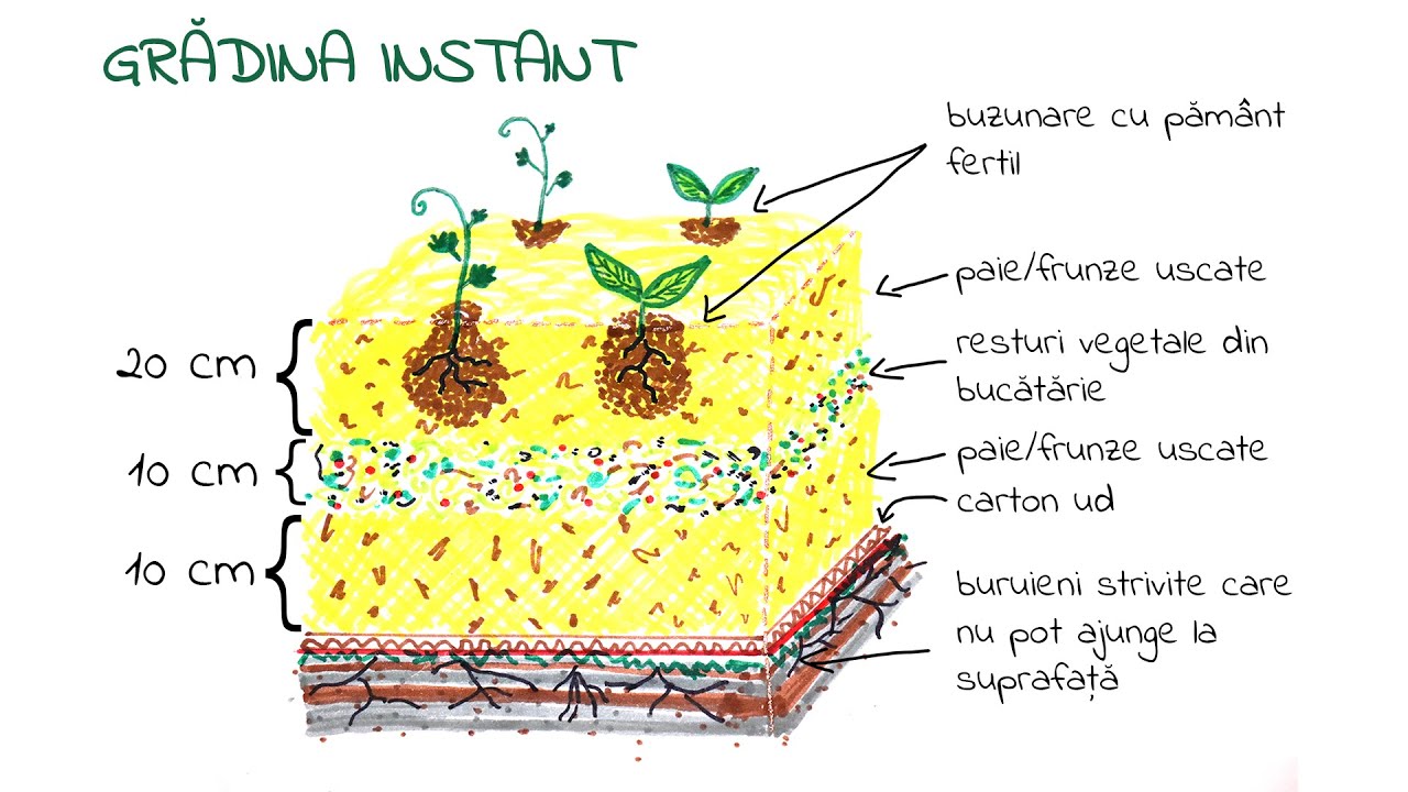 Gradina instant sau 