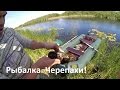 Рыбалка. Черепахи!