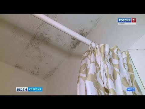 Жители аварийного дома в Петрозаводске переехали в квартиры с плесенью