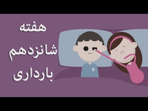 تصویری: هفته شانزدهم بارداری چگونه است