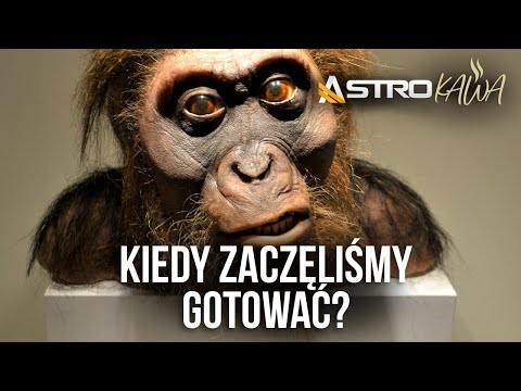 Kto wymyślił gotowanie jedzenia i jak zmieniło ono nasze mózgi? - AstroKawa