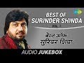 Best Of Surinder Shinda Non Stop Punjabi Hits Volume 1 Audio Juke Box