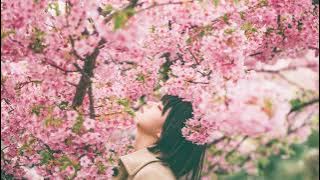 【最後一夜】Green Day - Last Night On Earth (Yebit 예빛 cover)【中文翻譯】