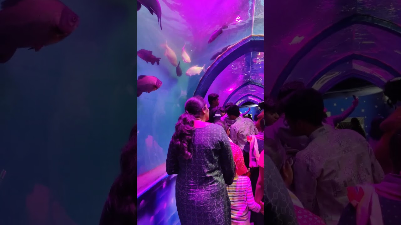 1st underwater tunnel Aquarium Exhibition in Hyderabad - 2023 