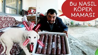 TORAMAN ÖZEL MAMALARINA BAYILDI|2 İNEKTEN AYLIK KAZANCIM KAÇ BİN TL