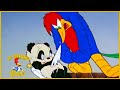 El Pájaro Loco en Español | El  Nacimiento De Andy Panda | Dibujos Animados en Español