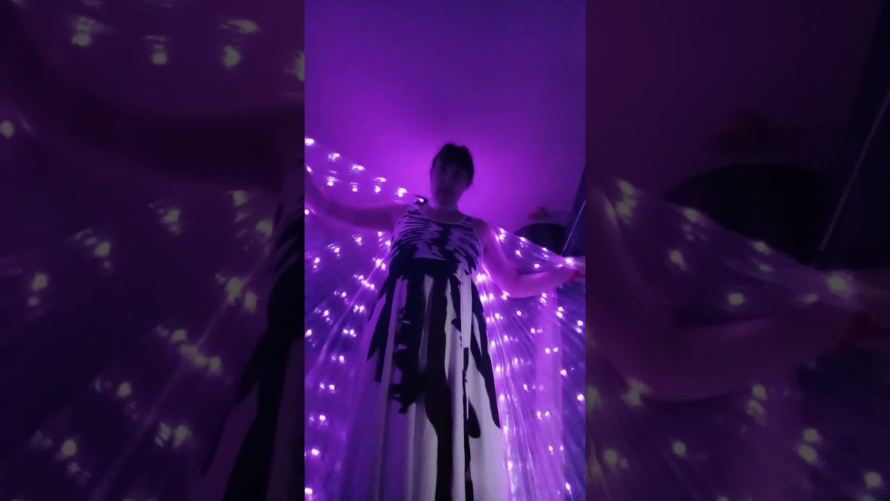 Temu light up wings.