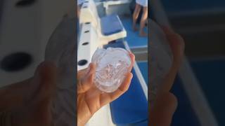 The Invisible Sea Creature