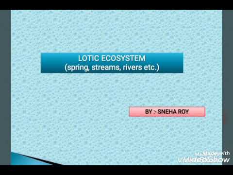 Lotic Ecosystem (a basic detailed study)