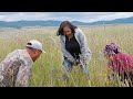 Rooted in Culture: Oregon's Wild Camas