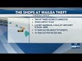 2 arrested for alleged luxury handbag thefts on Maui