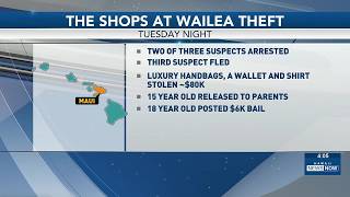 2 arrested for alleged luxury handbag thefts on Maui