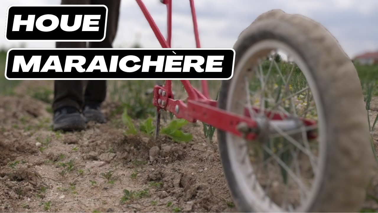La houe maraichère : L'avis des maraichers