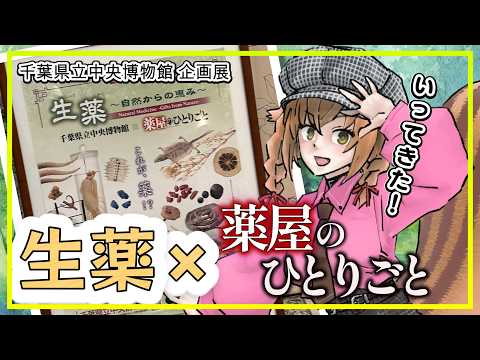 【 感想 】 千葉の県立博物館×薬屋のひとりごと！？企画展『生薬～自然からの恵み～』に行ってきたよ～～～～～～！！ 【 #個人Vtuber #生薬 #漢方  】