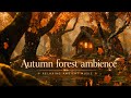 Autumn Forest Ambience 🍂 | Cozy Cabin Ambient Music for Relaxing, Study &amp; Sleep