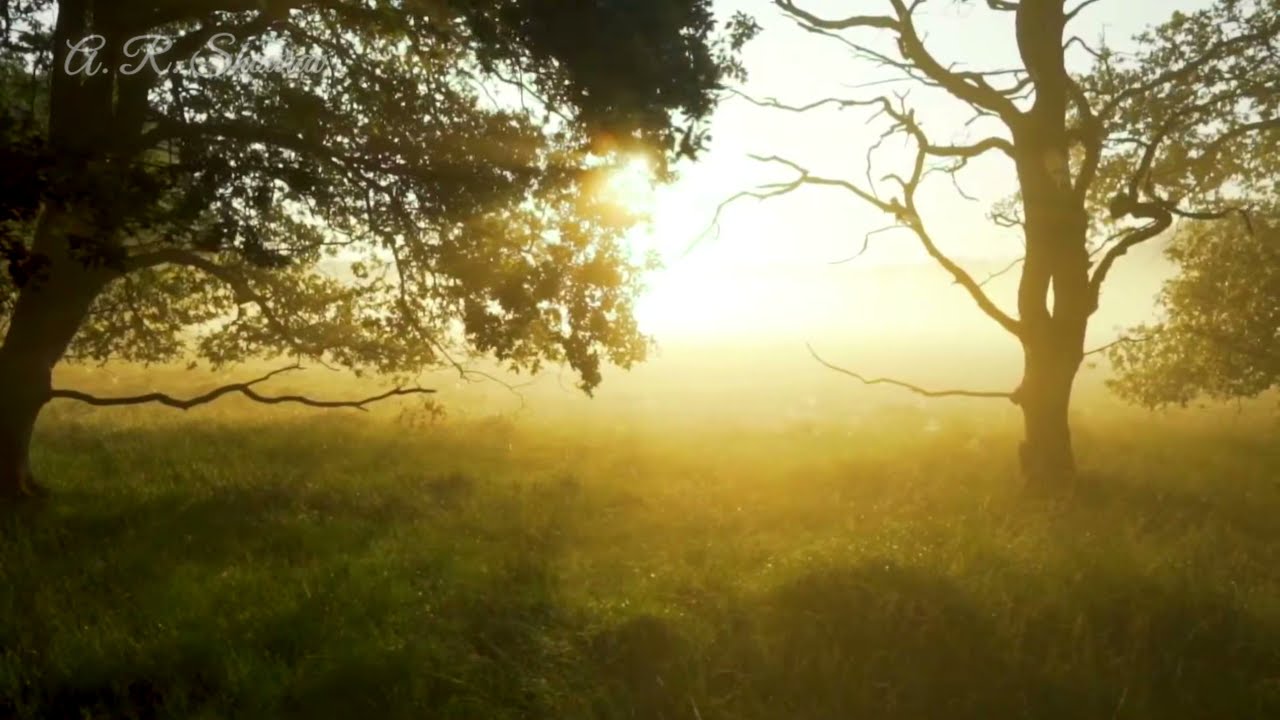 Sherpur, Bangladesh, a beautiful village and morning walk. 4k