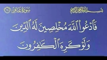 سورة غافر آية 14