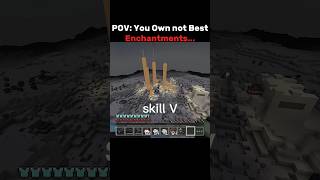 POV: When Your Enchantments Are Built Different ⚡🔥 #catmeme #minecraft #nobatidao