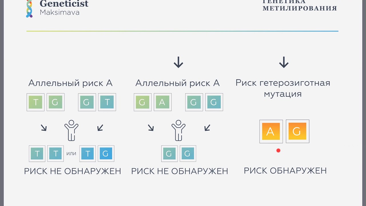 Генетика метилирования. ASDhelp.ru и Кристина Максимова, генетик