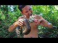 Survival Time: Catch Snake & Cooking Snake Soup With Bamboo Shoot