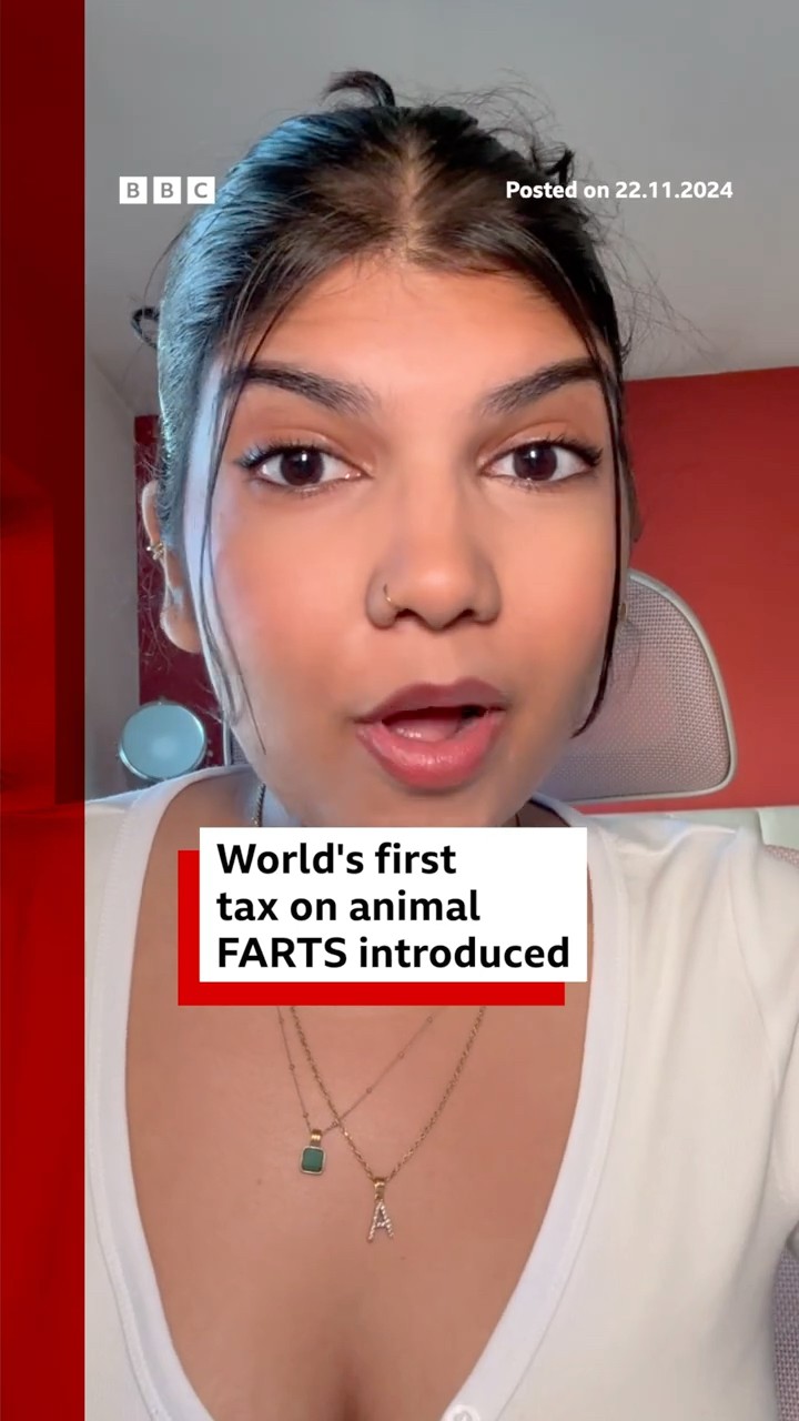 Denmark introduces world's first 'fart tax'. #Denmark #Fart #Cows #BBCNews