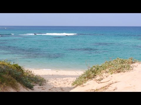 Crystal Clear Sea Waters 4K (Ultra HD) - 土盛海岸／奄美大島