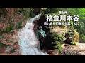 赤い岩肌が印象的な異空間ゴルジュ!西上州 橋倉川本谷【沢登り】